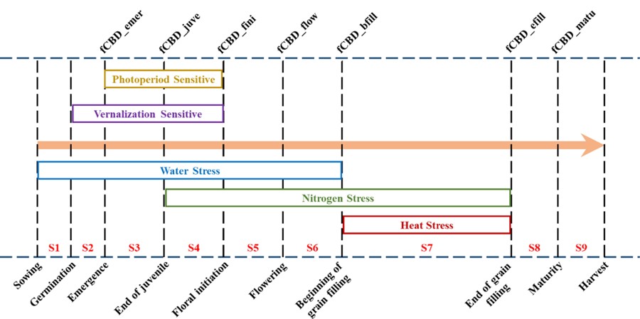 Agroecosystem Model Development