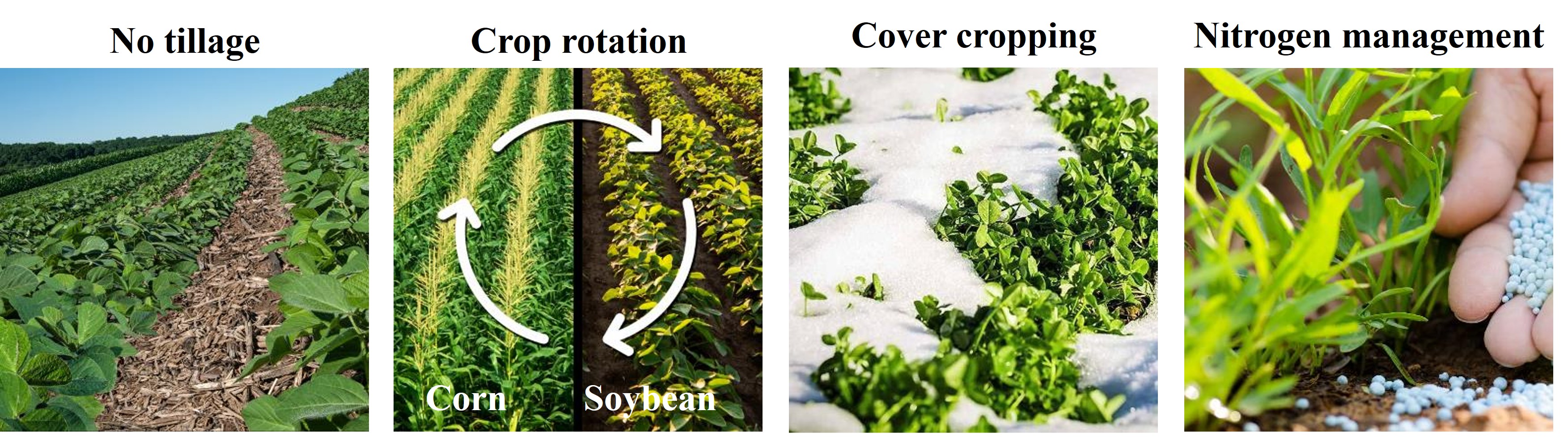 Sustainable Agricultural Management Practices