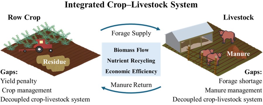 Integrated Crop–Livestock Systems