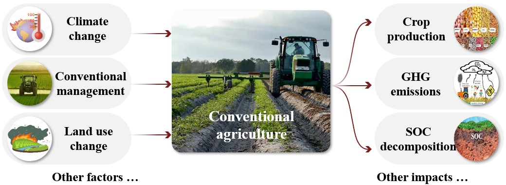 Agroecosystem Dynamics and Resilience